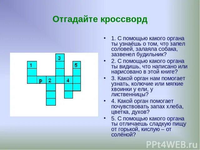 Кроссворд органы чувств 3 класс окружающий мир. Кроссворд на тему органы чувств. Кроссворд на тему зрение. Кроссворд на тему глаз. Кроссворд орган слуха