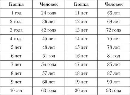 Кошачий калькулятор