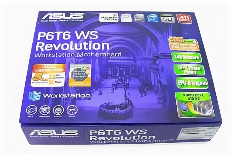 P6t6 ws revolution