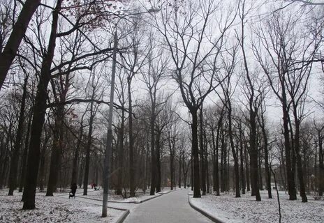 Климовск дубки