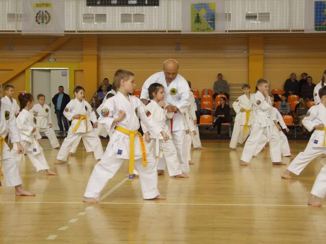 Федерация каратэ великий новгород. Тораномаки великий новгород. Каратэ великий новгород. Каратэ великий новгород. Каратэ великий новгород.