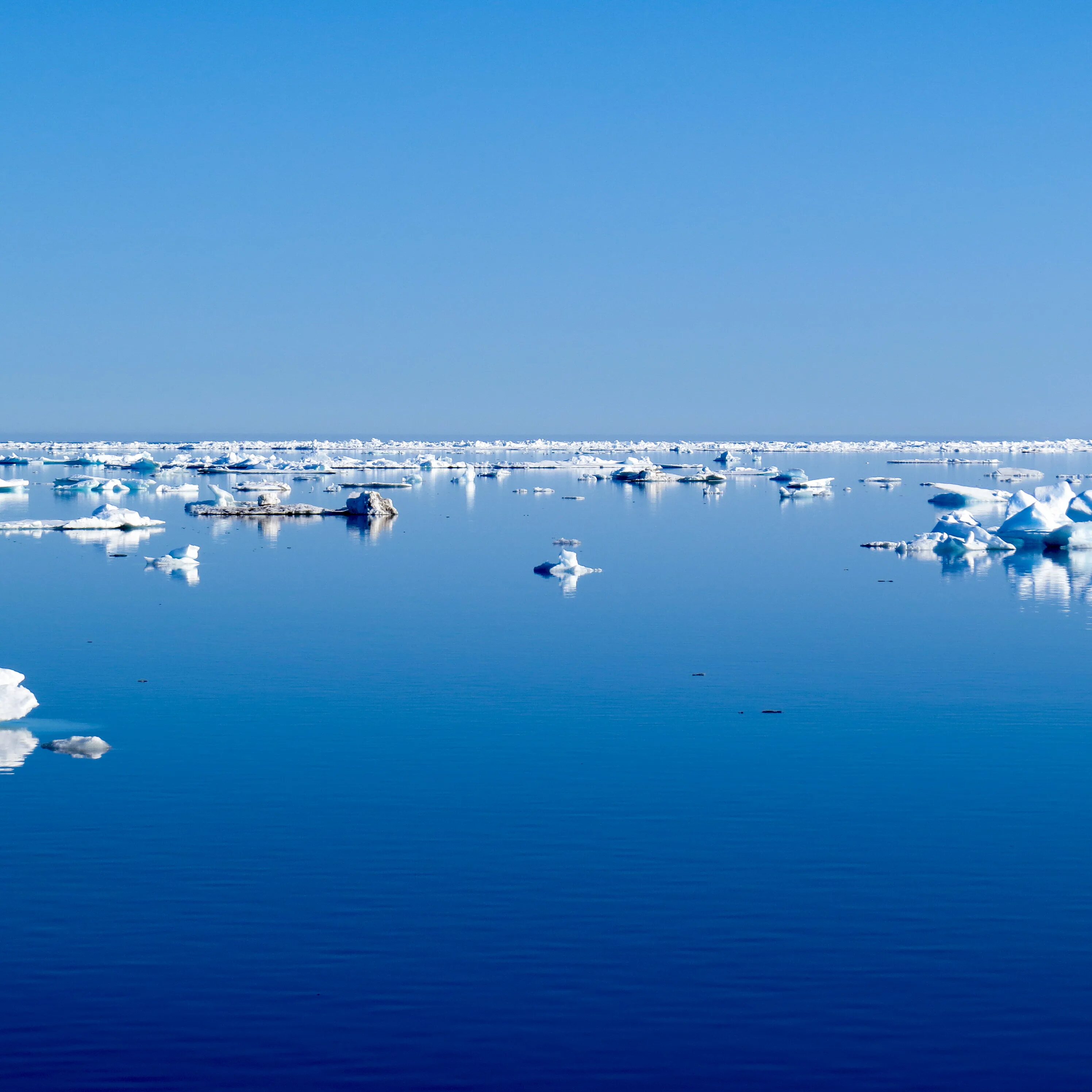 Северн какой океан. Арктика Северный Ледовитый океан. Северный ядовитый океан. Северно Ледовитый акеан. Североледоаитый океан.