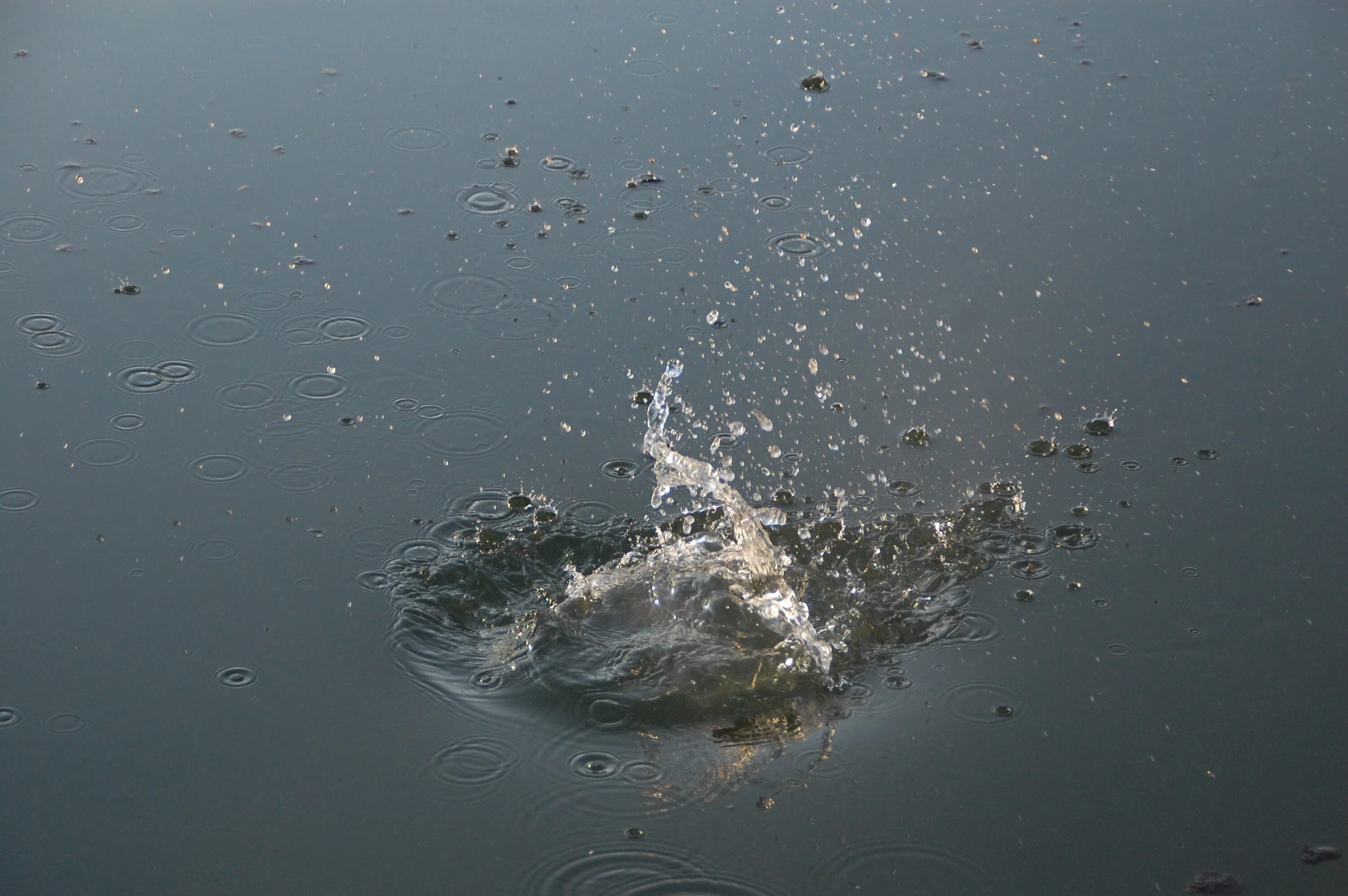 Брызги воды. Всплеск воды. Брызги от воды. Речка брызги. Вода без движения