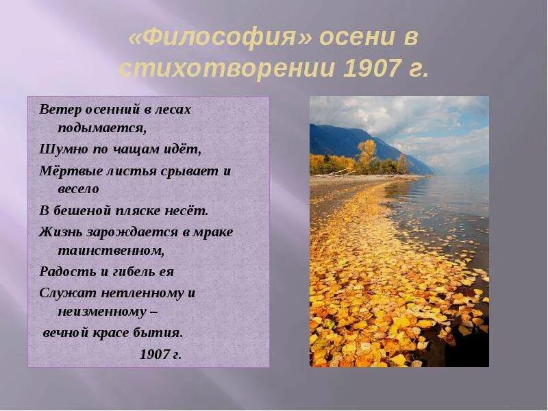 Осенний ветер стих. Философия осени. Философия осени в стихах. Стих про ветер.