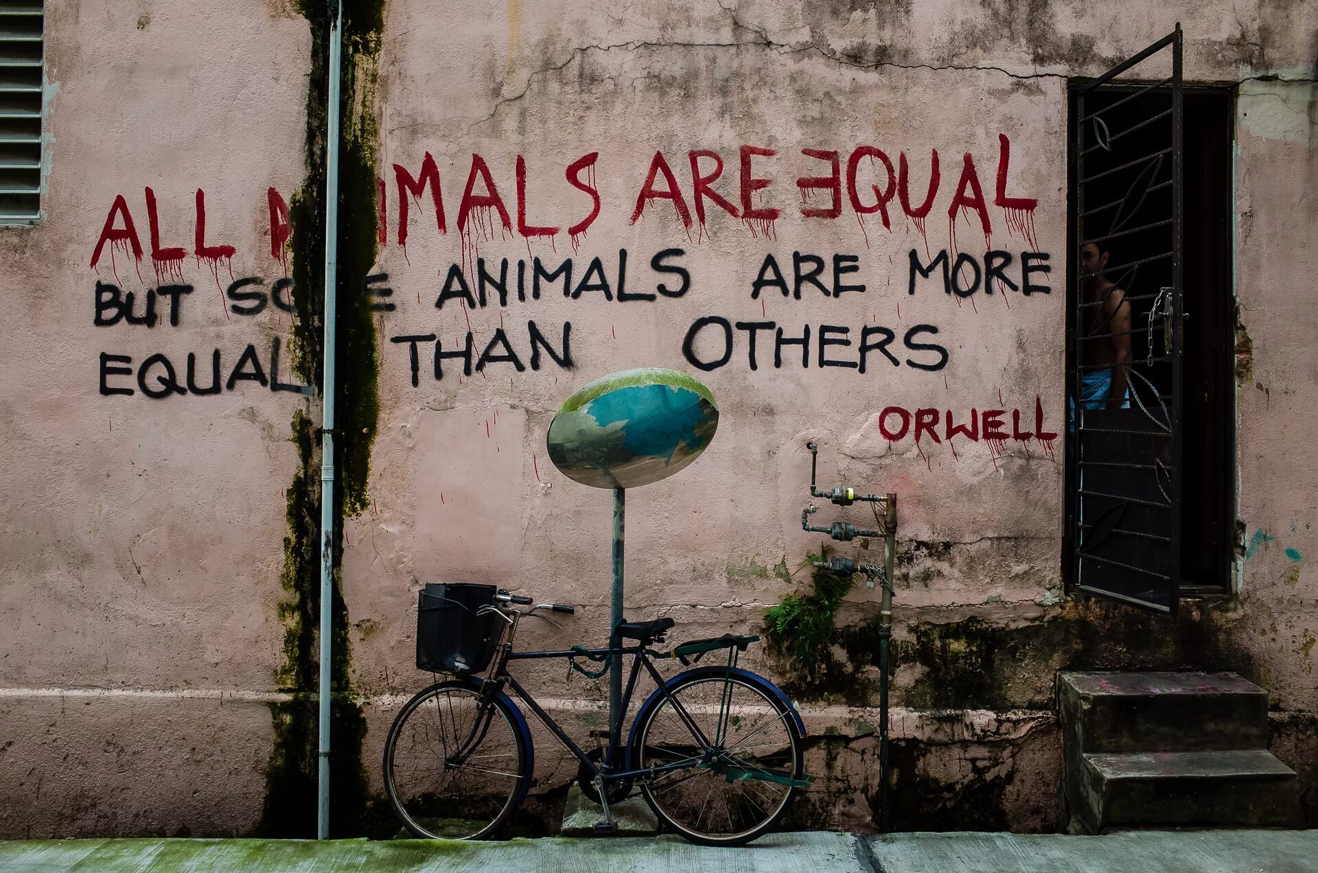 More than others. All animals are equal. all animals are equal but some are more equal than others. some animals are more equal than others. all animal is equal.