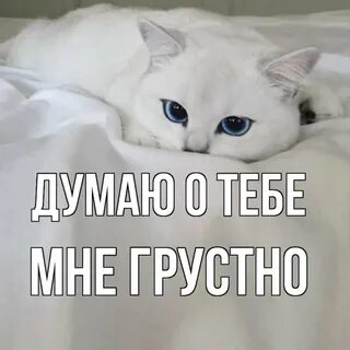 Скучаю где ты сейчас
