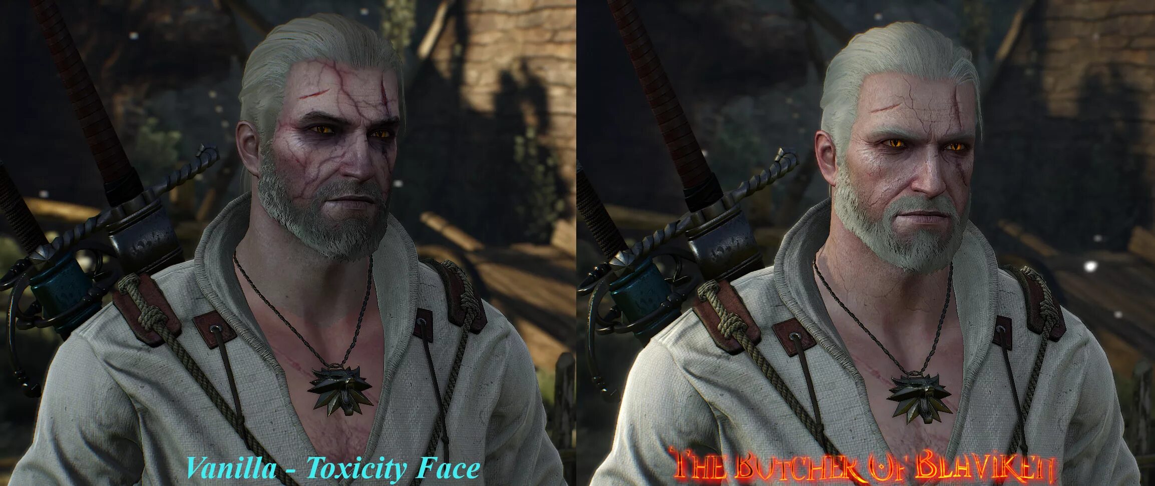 Геральт блавикен. Геральт мясник. Почему геральт мясник из блавикена. Геральт в блавикене. Мясник из блавикена ведьмак 3.