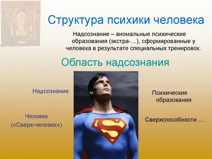 Структурный человек