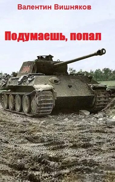 Подумаешь попал вишняков читать полностью. Портрет ксении тишининой вишняков. Подумаешь попал вишняков читать полностью. Валентин георгиевич вишняков. Книга о защитниках попаданцах.