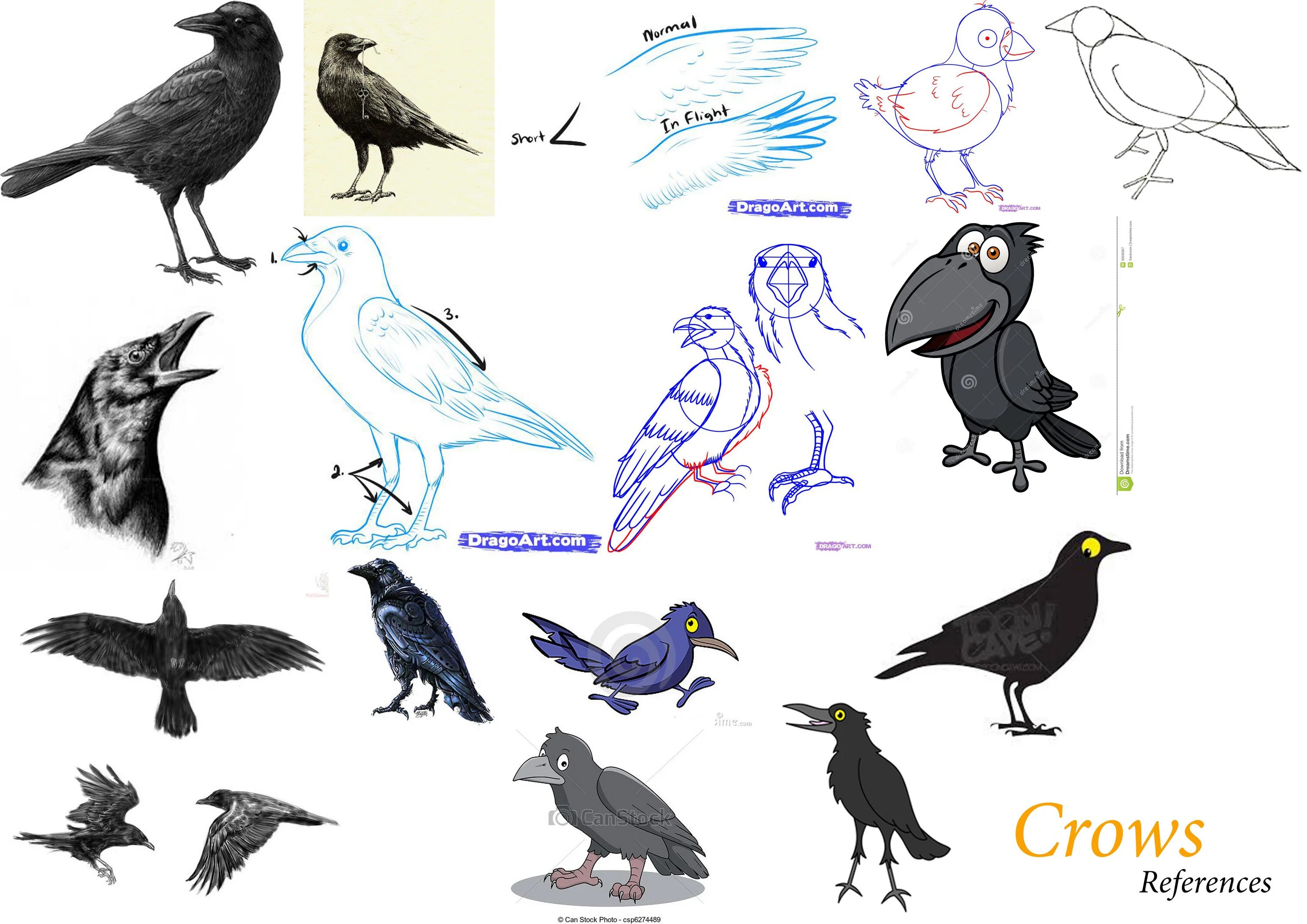 Вороны референс. Ворона референс. Референс воронов. Референс чумного доктора. Референс воронов.