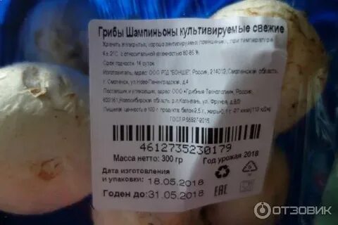 Срок годности шампиньонов в холодильнике свежих