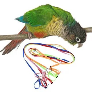 Шлейка для волнистого попугая