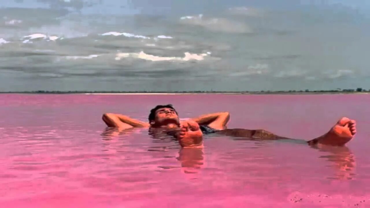 Озеро Ретба. Озеро Хиллиер. Австралия озеро Хиллер туристы. Розовое озеро Хиллер Австралия. Почему в озере купались