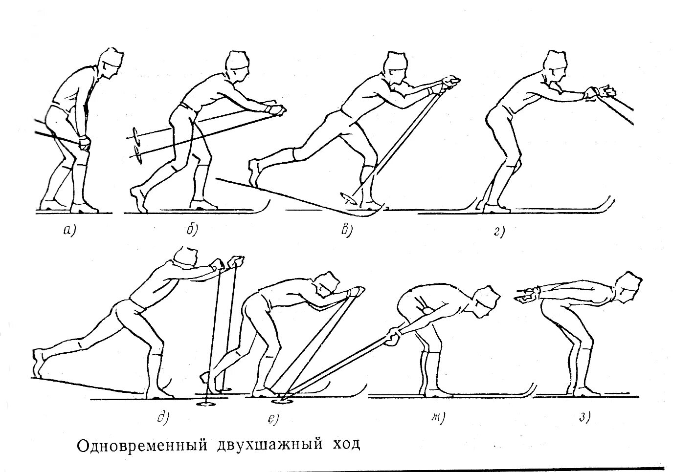 Лыжный спорт виды лыжных ходов. Одновременный двухшажный ход на лыжах. Одновременный двухшажный коньковый ход. Одновременный двуошажный коньковый ход. Одновременный двухшажный ход коньковый ход.