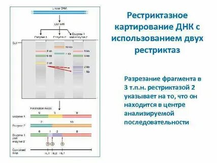 Результаты температурного картирования