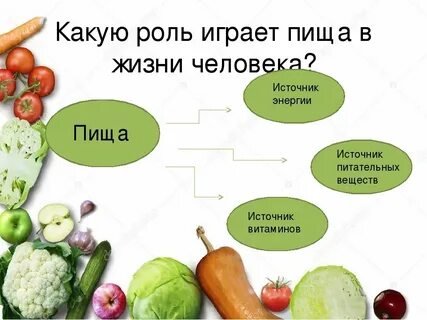Роль питания в жизни