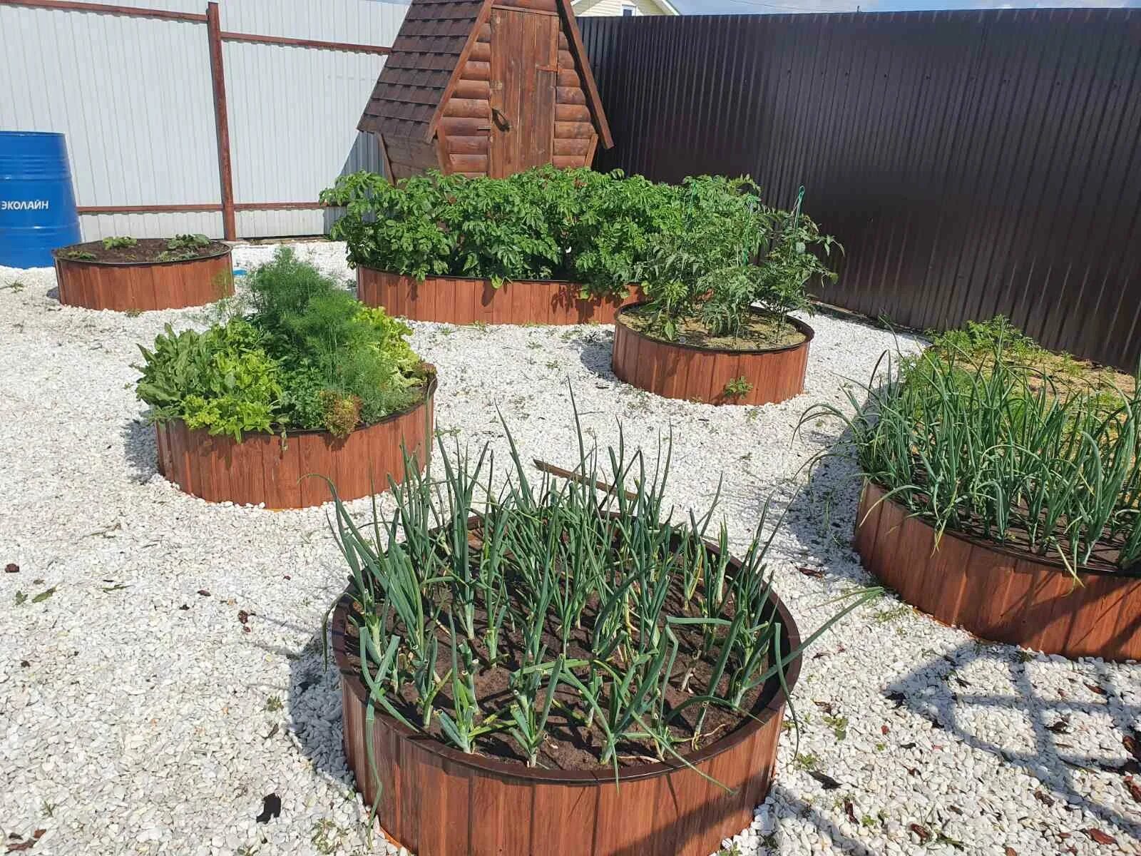 Круглый цветник. Круглые грядки. Радиусные грядки. Круглые клумбы с грядками. Круглая грядка для цветов.