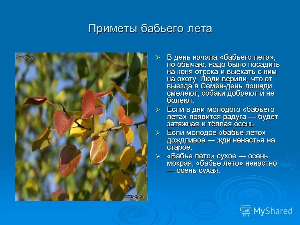 Мини сочинение бабье лето 4. Сочинение на тему бабье лето. Мини рассказ про бабье лето. Бабье лето презентация. Сочинение на тему бабьего лета.