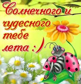 Поздравления с летним днем картинки