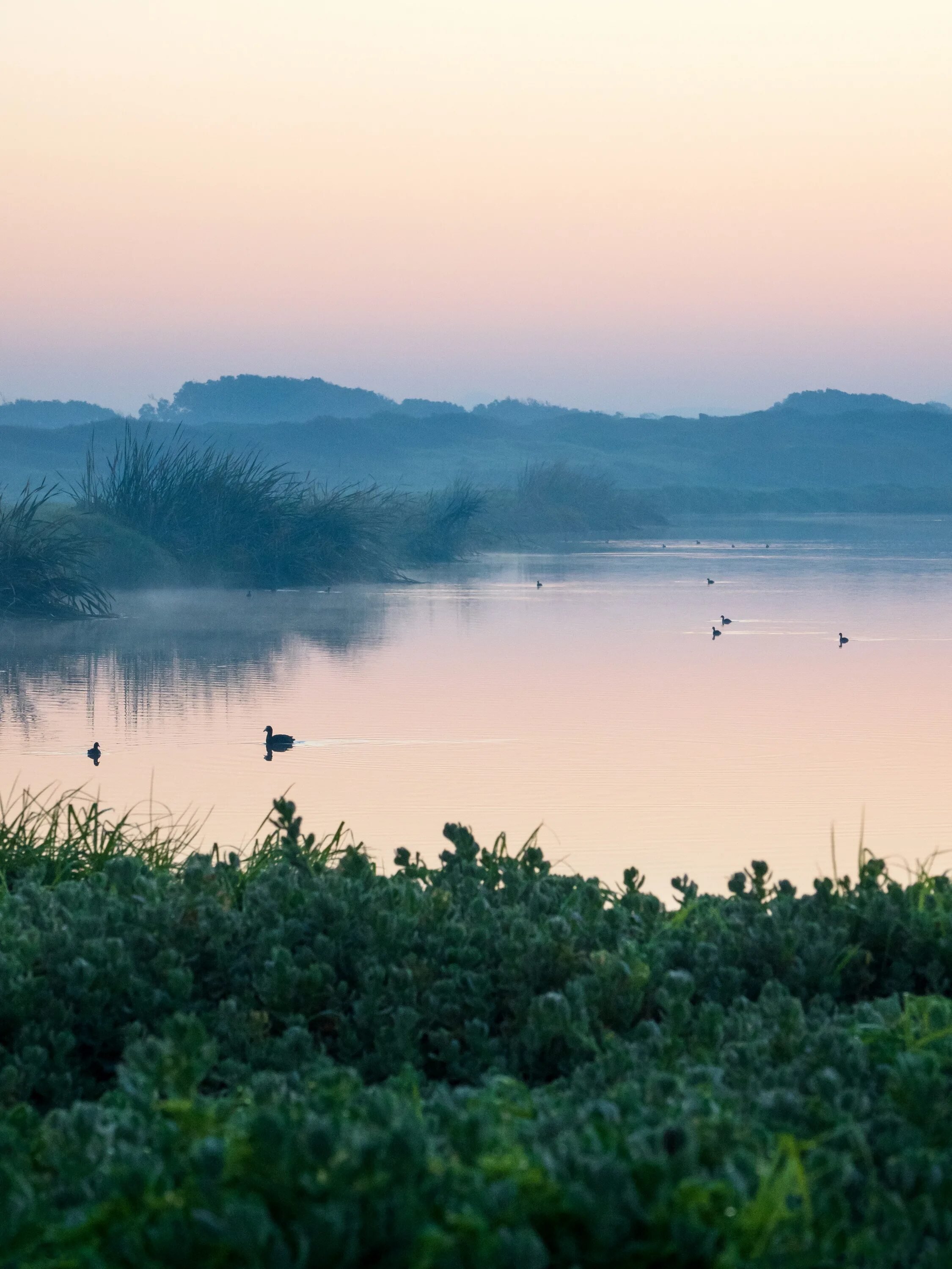 Солнечное озеро село Синапное. Спокойная река. Туманное утро на озере. Утро на водоеме.