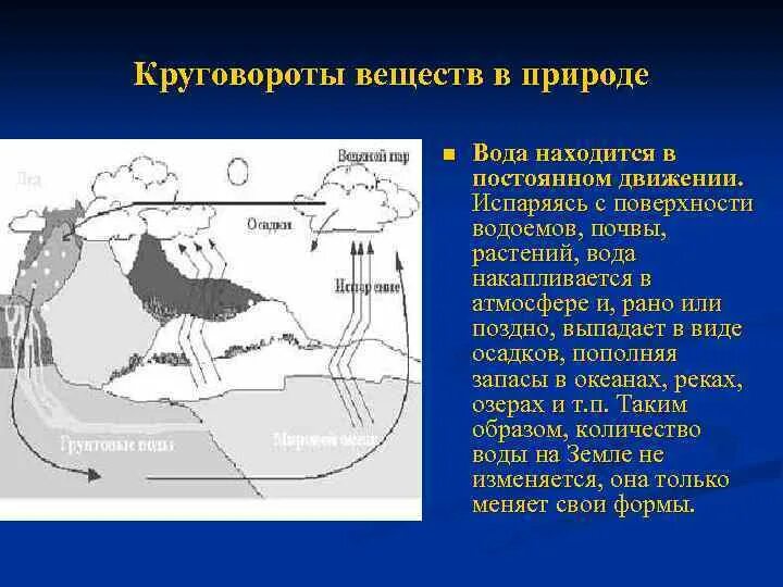 Схема круговорота в водоеме. Круговорот веществ в водоеме. Схема круговорота веществ в сообществе водоема. Круговорот в водоеме. В постоянном движении находятся воды