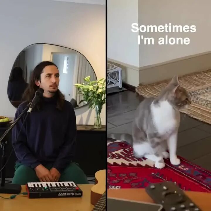 Kiffness sometimes. The kiffness музыкант. грустные коты. хозяева блоггеры. кот блоггер.