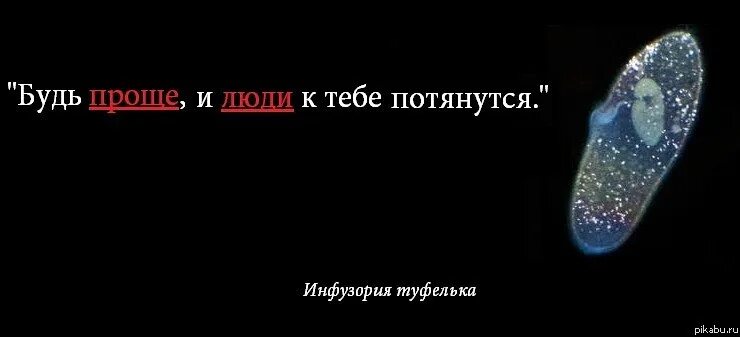 Будь проще. Будь проще и люди потянутся. Будь проще и к тебе потянутся. Надо быть проще и люди к тебе потянутся. Будь проще и к тебе потянутся люди