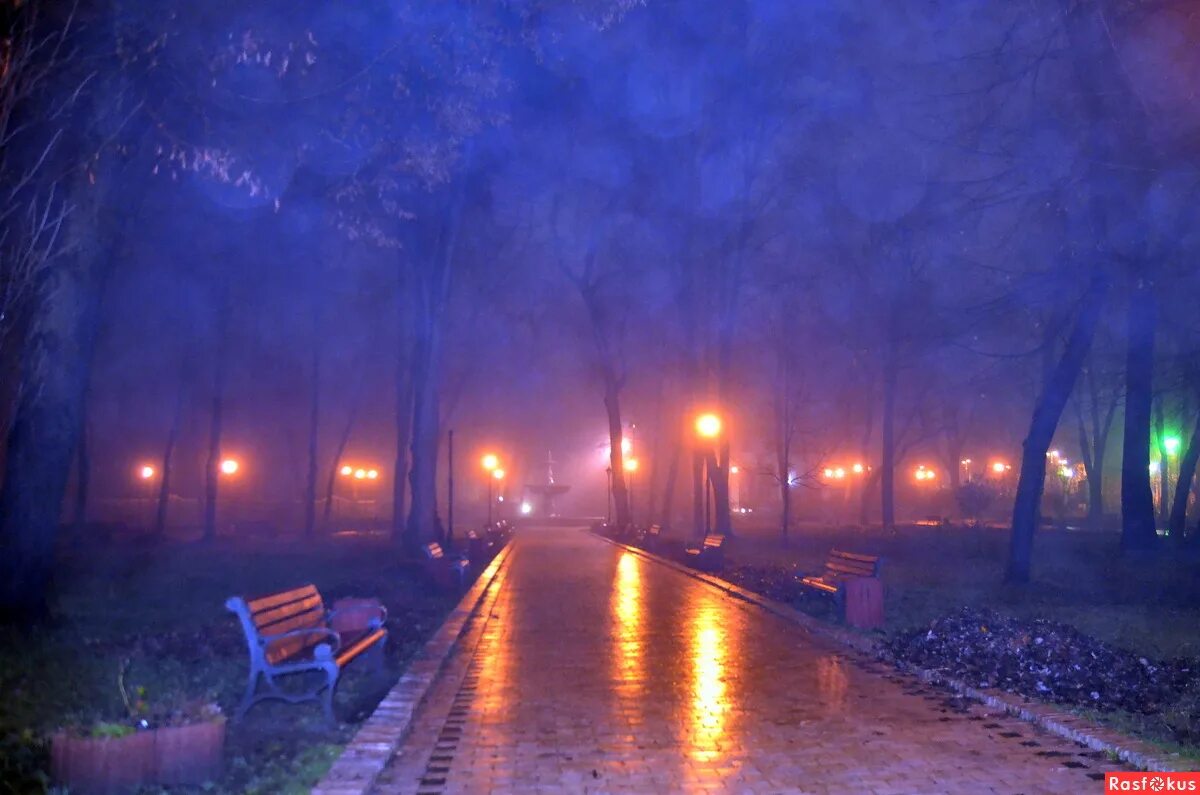 Город туман вечер. Атмосферный вечер. Туман ночь город. Атмосферный парк. Туманная ночь в городе.