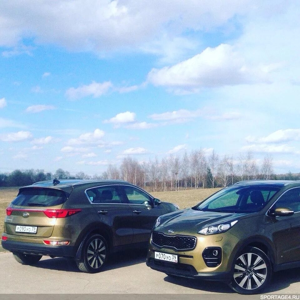 Спортейдж 4. Киа Спортейдж 4. Kia Sportage 4 QLE. Kia Sportage Green.