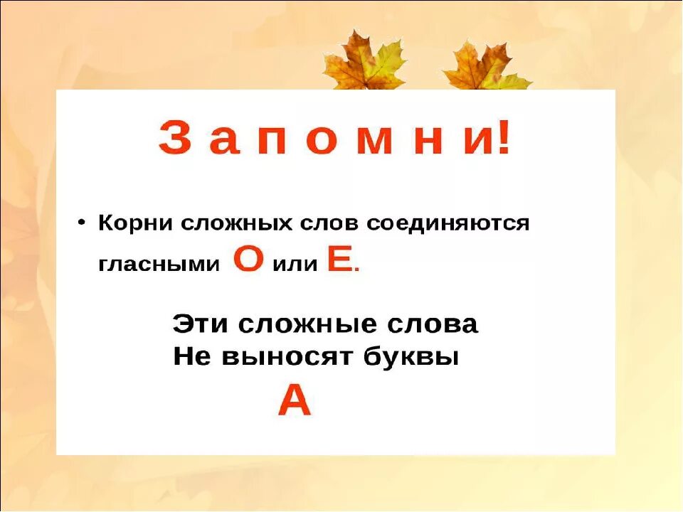 Корни в сложных словах соединяются гласными. Образование сложных слов 3 класс. Сложные слова картинки. Соединительный гласный.