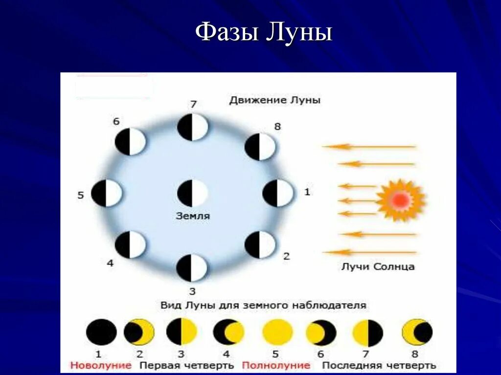 Фазы Луны. Ф̆̈ӑ̈з̆̈ы̆̈ Л̆̈ў̈н̆̈ы̆̈. Фазы Луны с названиями. Лунные фазы рисунок. Цветок новолуния