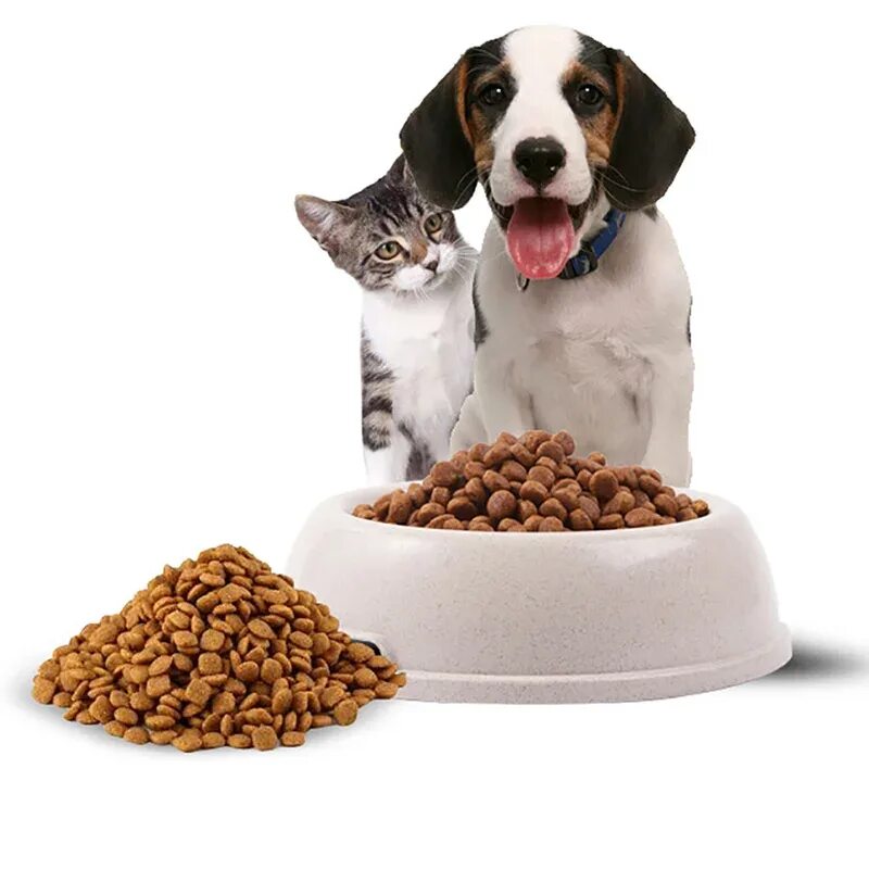 Можно собакам кошачий сухой корм
