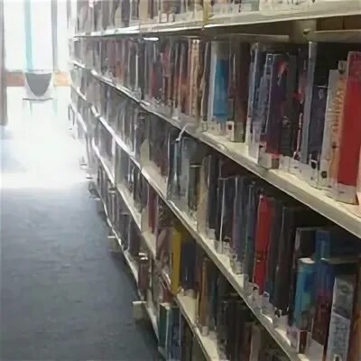 Фото людей сотрудники библиотеки. Книгохранилище может заходить только. Старогришкинская сельская библиотека. Книгоздание фотороссии. Библиотека в школе.