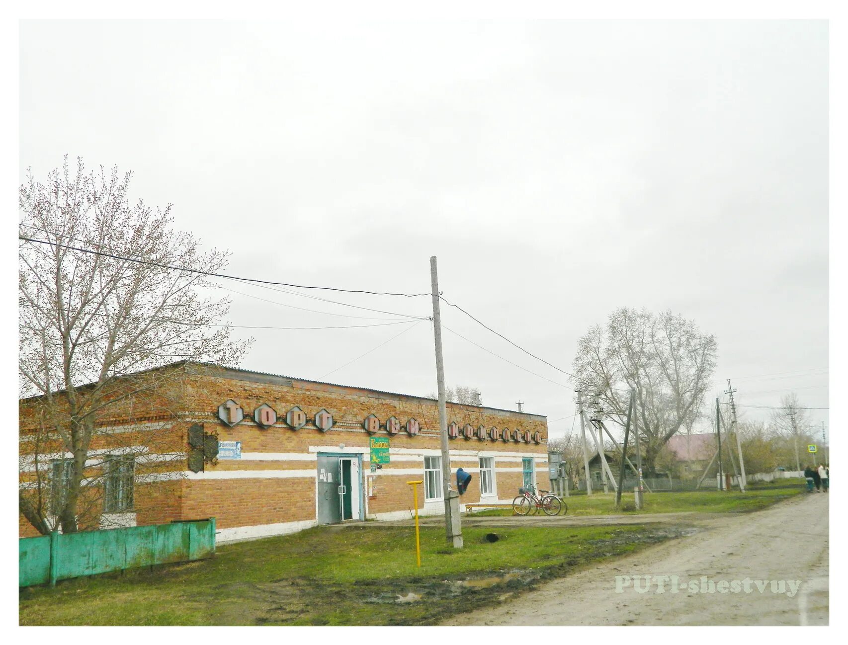 погода шевырино на две недели