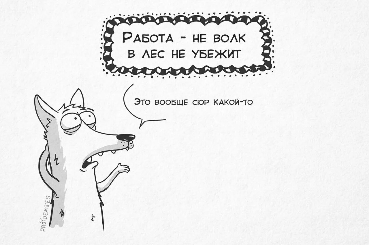 Пословица сколько волка не корми. Поговорки про волка смешные. Работа не волк прикол. Пословицы про волка. Пословицы про волка с иллюстрациями.