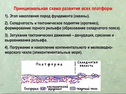 Дайте определение понятий платформа складчатая область
