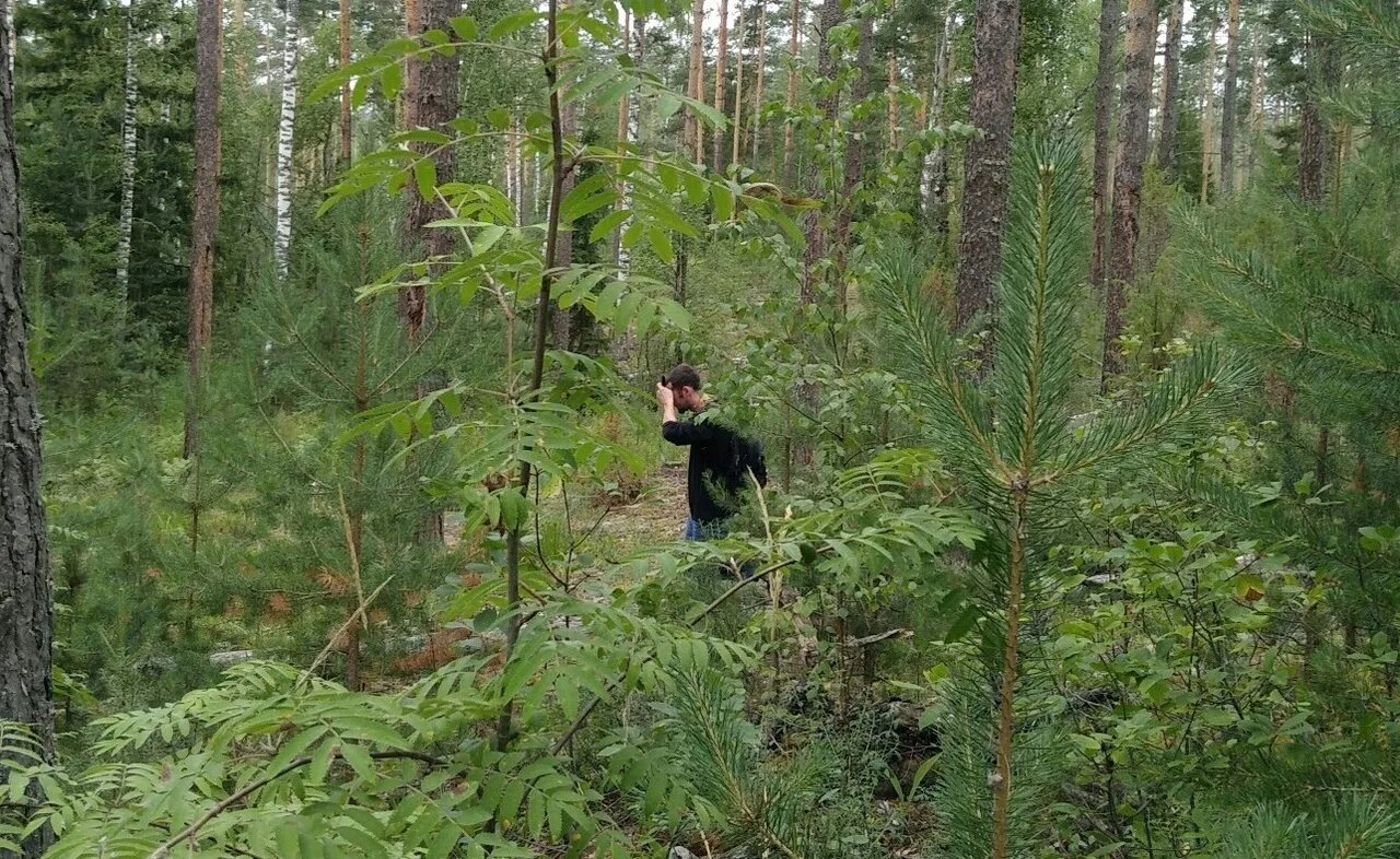 Заблудился в лесу. Человек потерялся в лесу. Грибники в лесу. Чел в лесу. Почему мальчик заблудился в тайге