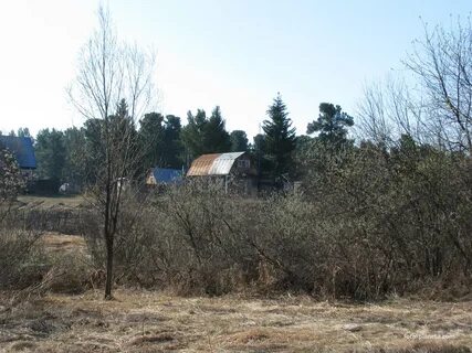 Погода в кунчуруке болотнинского