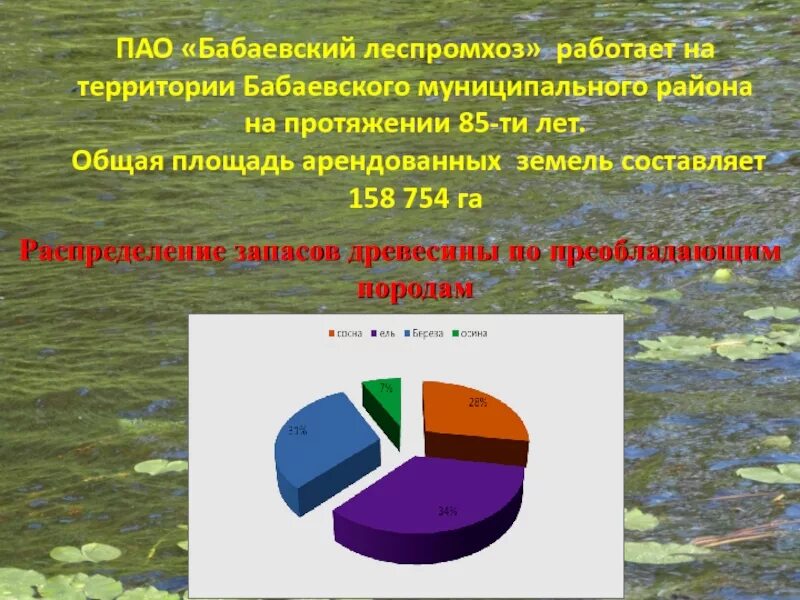 Презентация на тему черное озеро Бабаевский район. Бабаевский район реки озёра. Объем продукции Бабаевский леспромхоз.