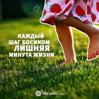 День босяка