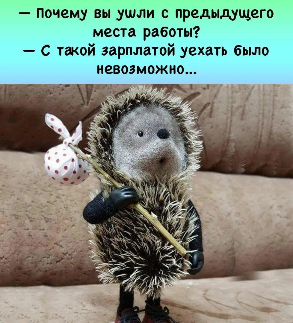 Почему вы ушли с предыдущего. Почему вы ушли с предыдущего