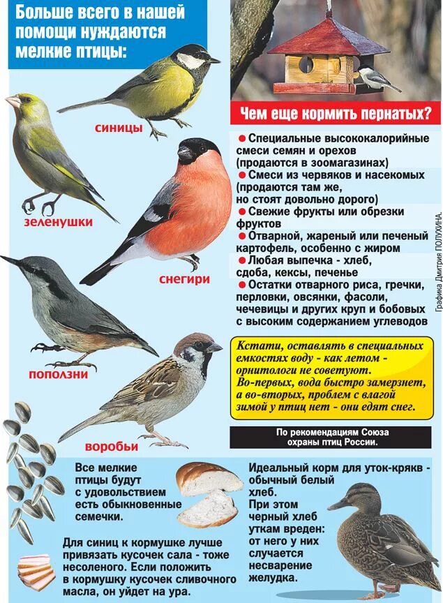 Каким птицам соответствуют