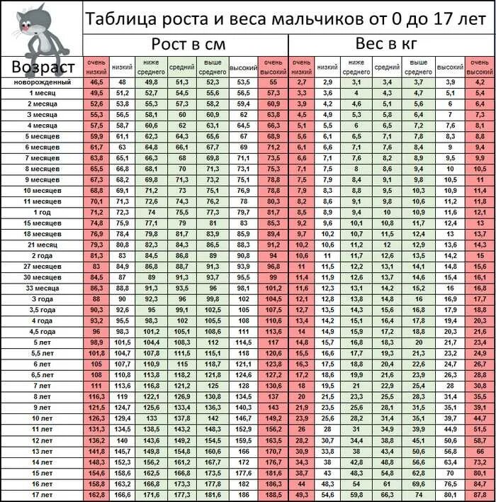 Рост вес в 1 3. Рост мальчиков по годам таблица воз. Нормы роста и веса для девочек 6-7 лет. Таблица веса девочки 10 лет норма вес. Ребёнок 5 лет рост и вес норма.