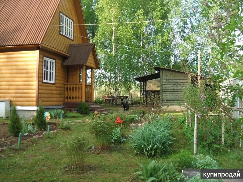 Снт сосновое владимирская область. Снт "сосновый бор-3. Снт сосновое владимирская область. Снт сосновое владимирская область. Снт опушка струнино.