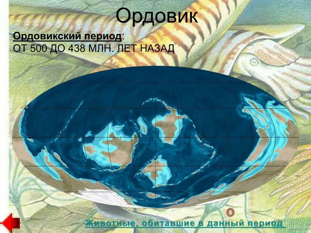 Ордовикский период климат. Земля в ордовикский период. Ордовикский период карта материков. Палеозойская эра силур. Палеозойская эра ордовикский период.