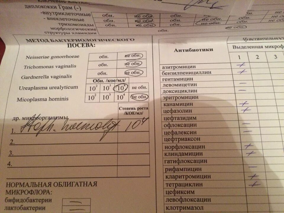 Препараты лечащие уреаплазму