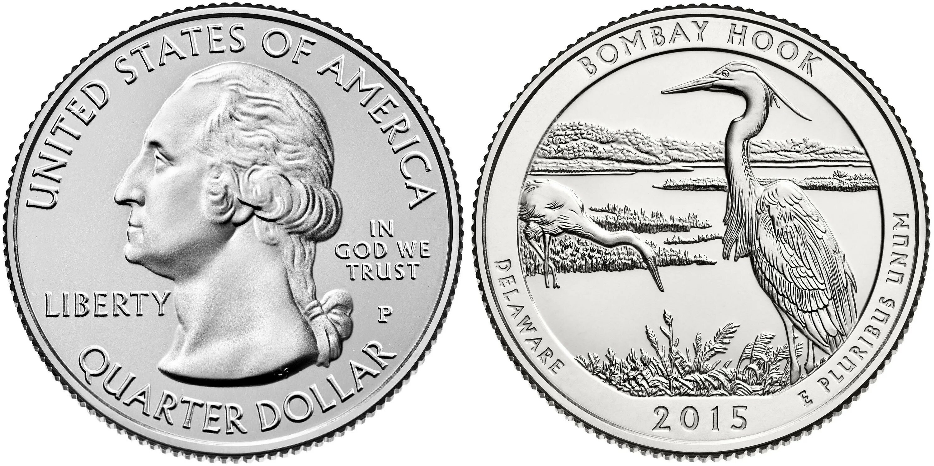 Центральный парк нью-йорка развлечения. Балтимор стадион. Централ парк нью-йорк площадь. Ch central park. Юрловский парк америка.