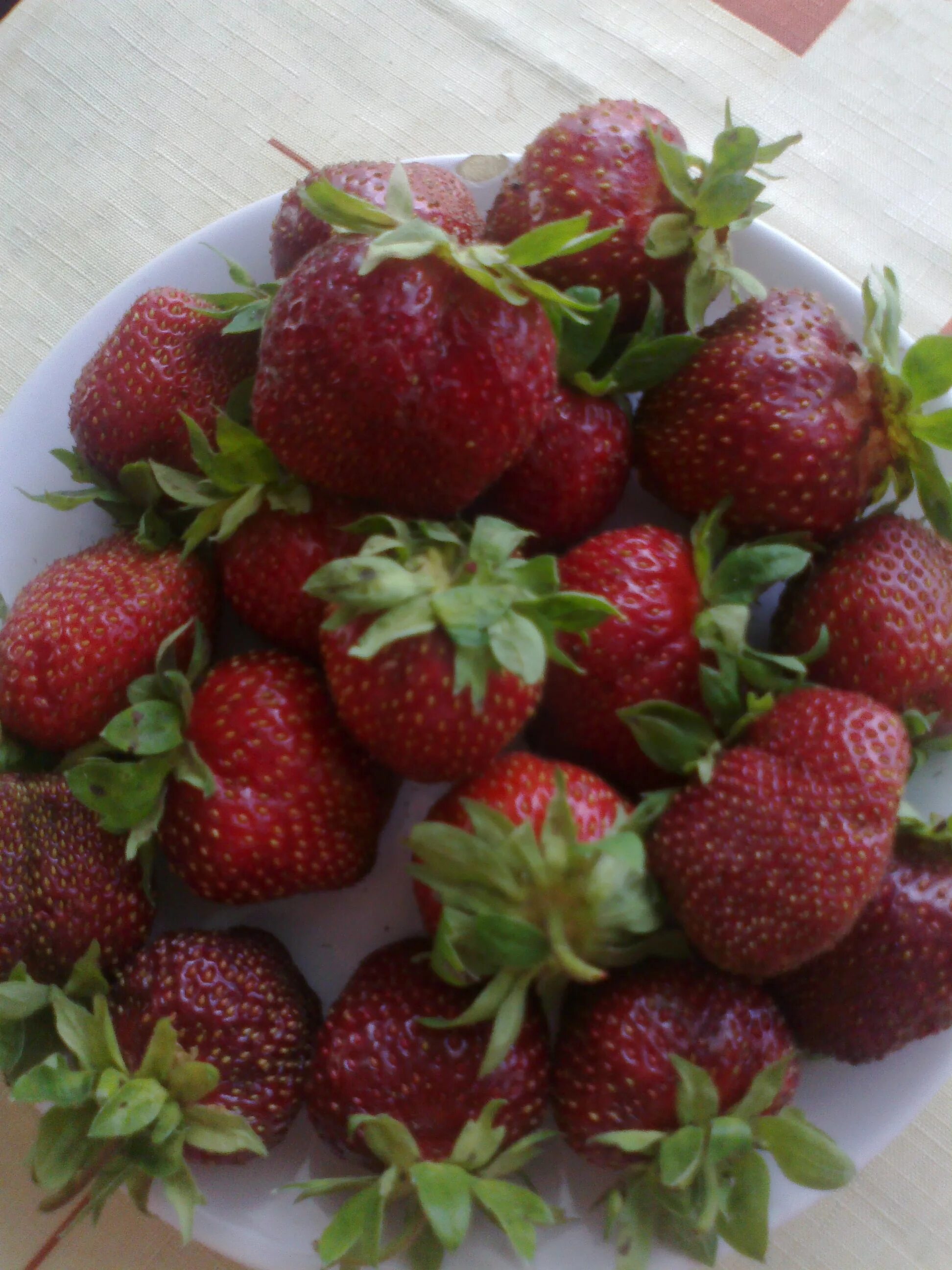 Сорт клубники бордового цвета. Бирюлевский мускат земклуника. клубника сорт шоколадница. земляника мускатная бирюлевская. клубника виноградная гроздь сорта.