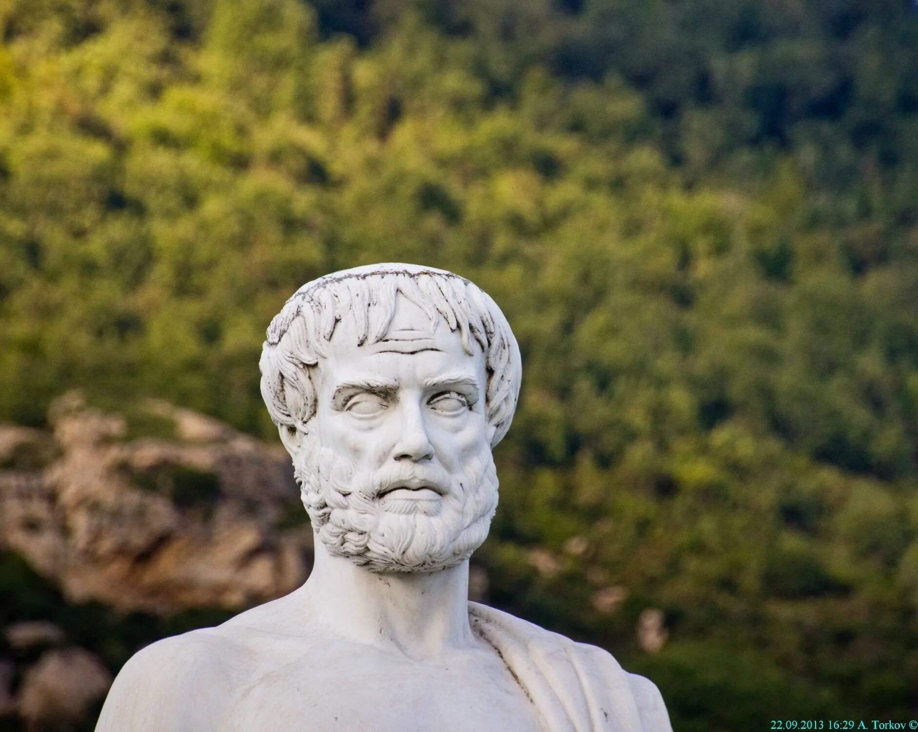 Древняя Греция Аристотель. Стагира Греция. Аристотель статуя головы. Аристотель бюст.