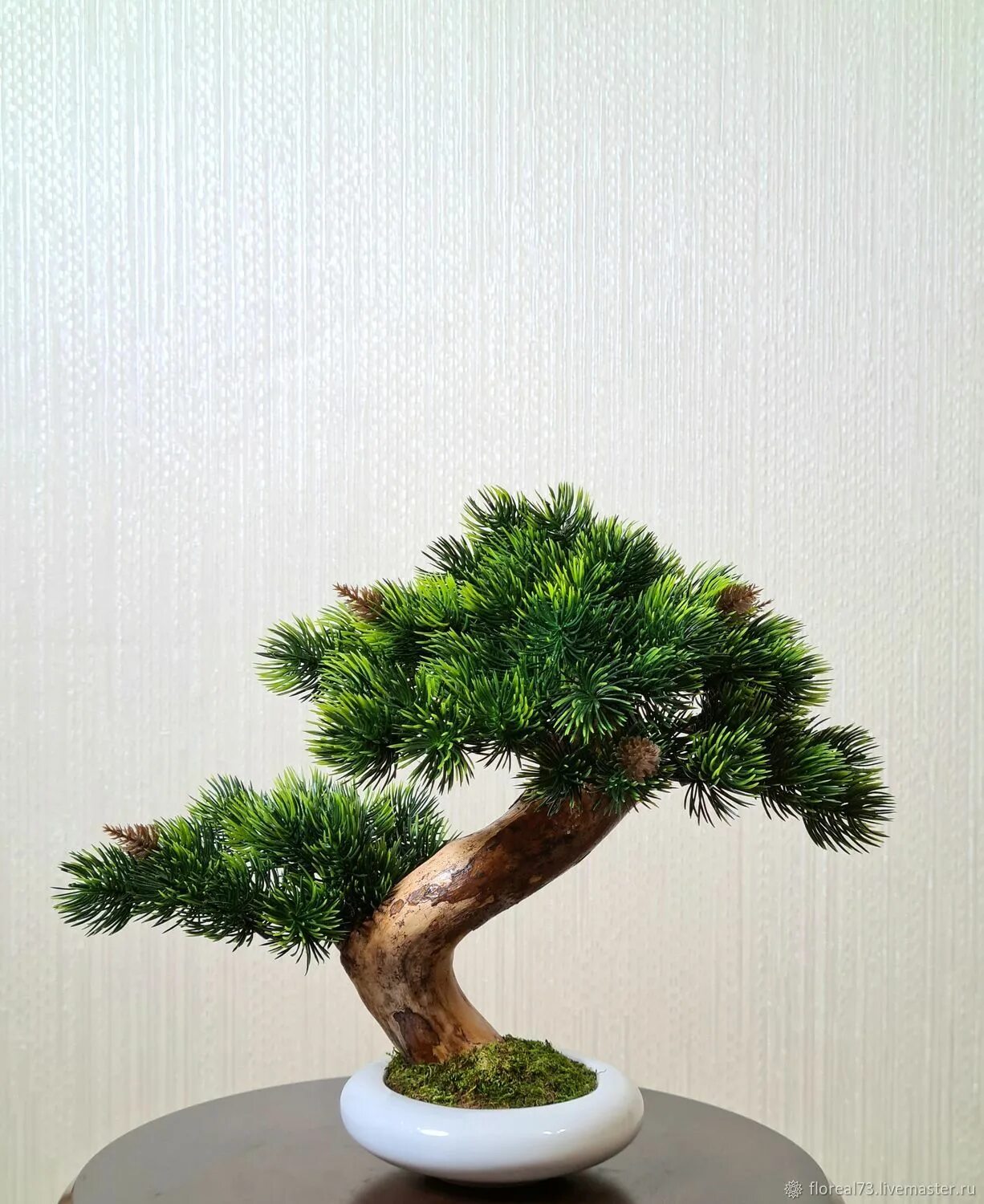 Бонсай хвойный. Бонсай екатеринбург. Бонсай екатеринбург. Бонсай хвойный. Бонсай екатеринбург.